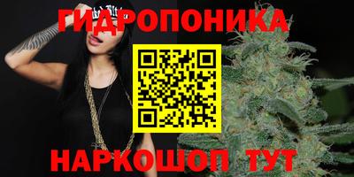 твердый Заводоуковск